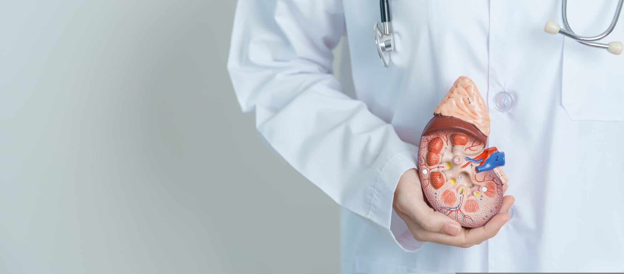 ไตวายระยะสุดท้าย